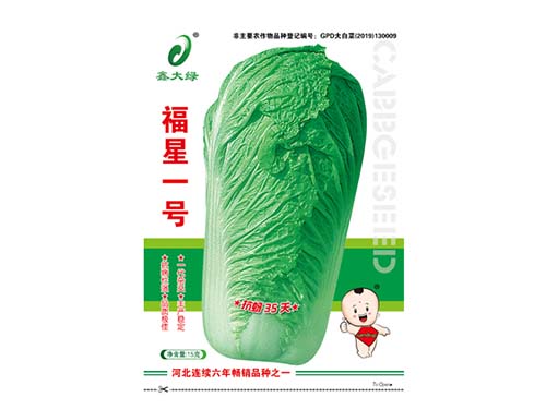 福星一號(hào)