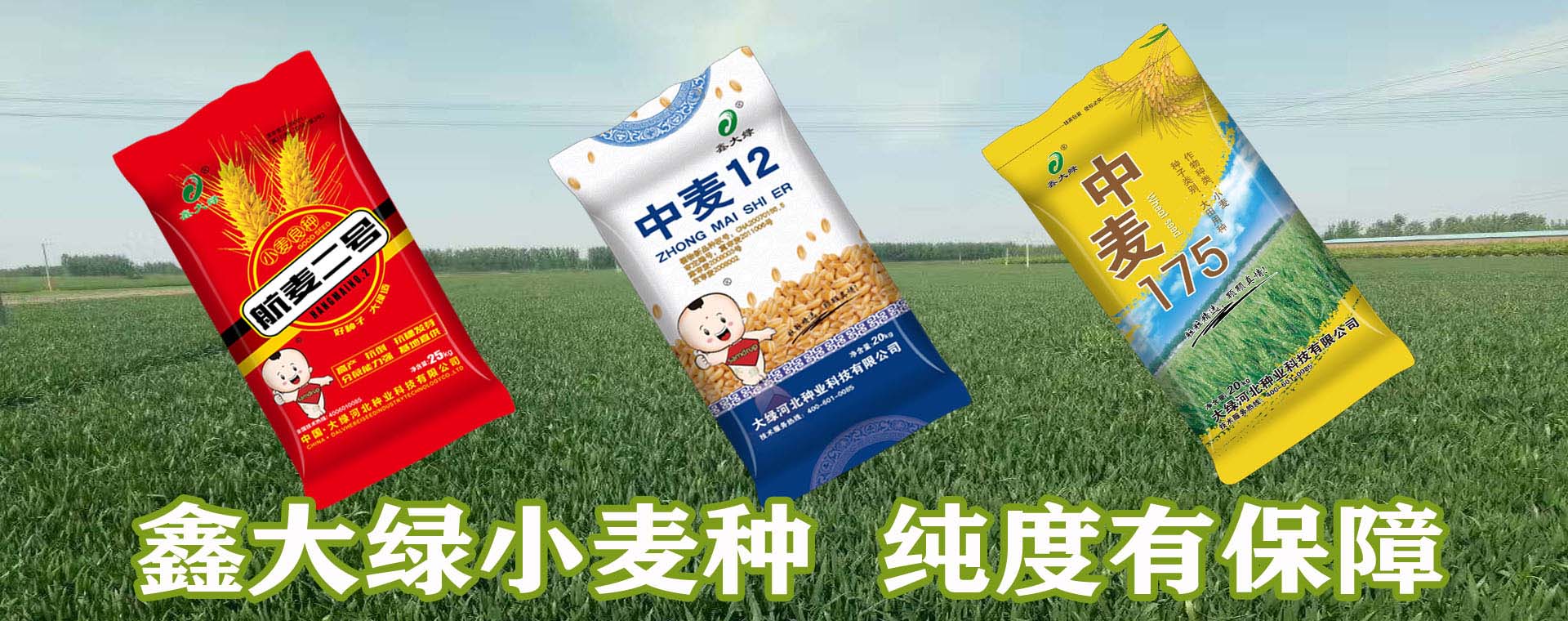 大綠河北種業(yè)科技有限公司