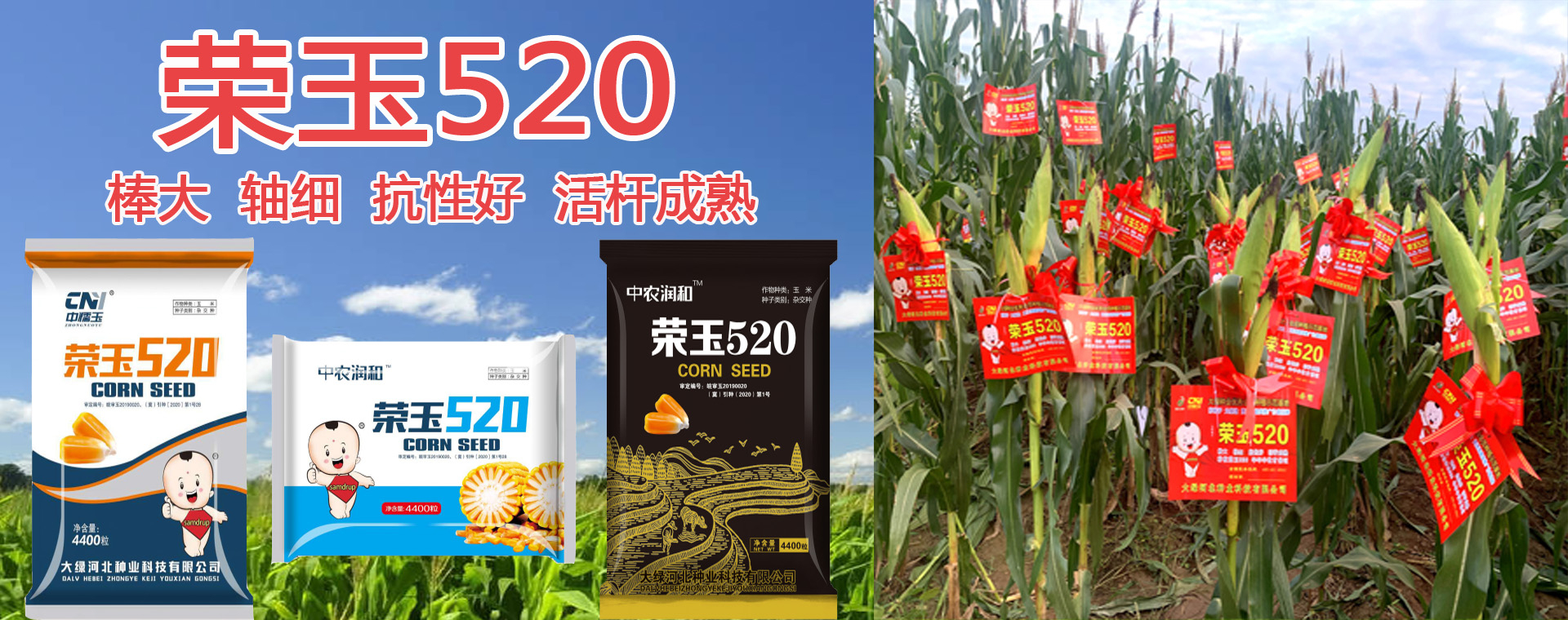 經(jīng)典視頻